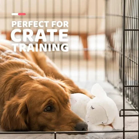 All For Paws Little Buddy-Heart Beat Sheep