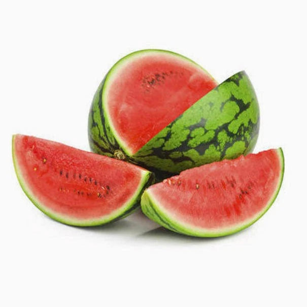 Barnies🍁Watermelon Cookies for Horses