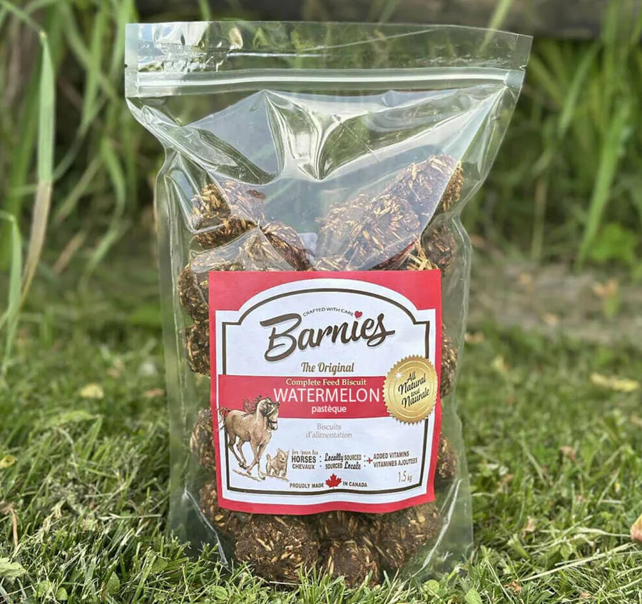 Barnies🍁Watermelon Cookies for Horses
