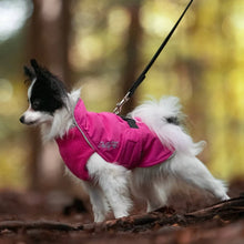 Chilly Dogs🍁 Pink Northern Blazer with Harness Hole