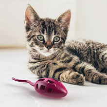 Aikiou Pink Mouse Treat Toy for Cats