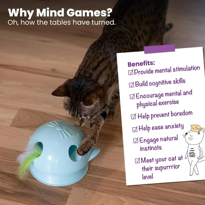 Catstages® Electronic Dart N' Dash Toy