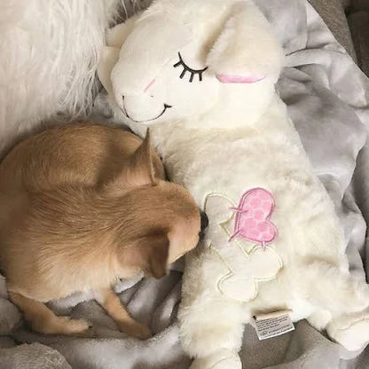 All For Paws Little Buddy-Heart Beat Sheep