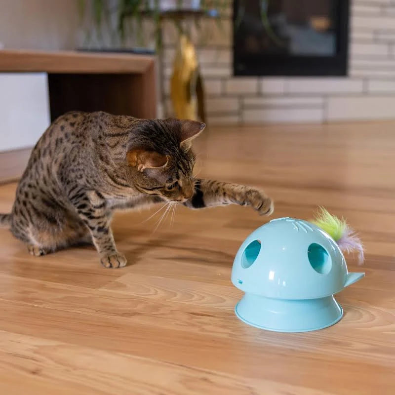 Catstages® Electronic Dart N' Dash Toy