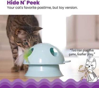 Catstages® Electronic Dart N' Dash Toy