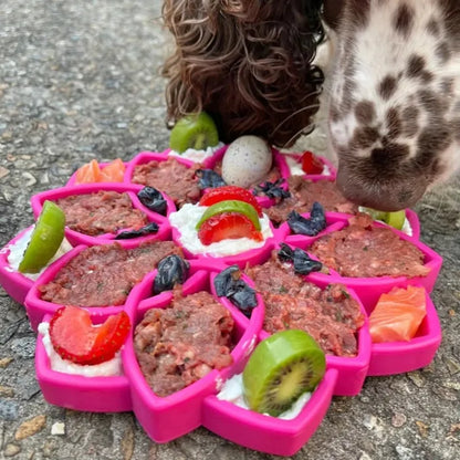 Sodapup Mandala Enrichment Tray