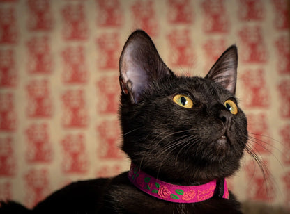 Beastie Bands Neoprene Cat Collar - Assorted Patterns