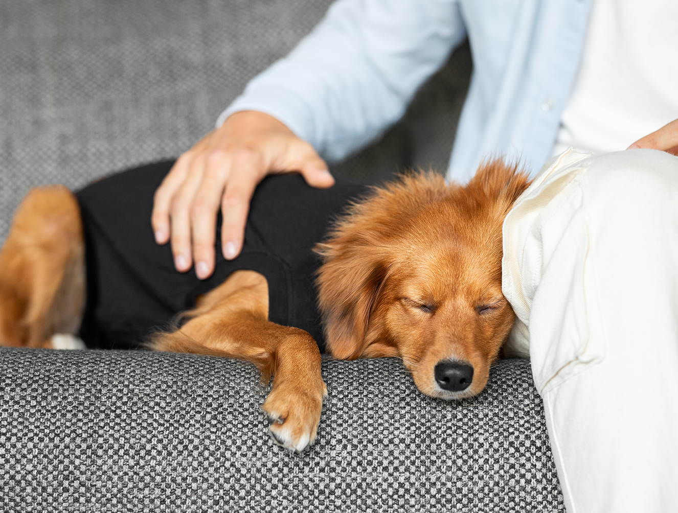 Suitical Black Dog Recovery Suit