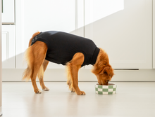 Suitical Black Dog Recovery Suit