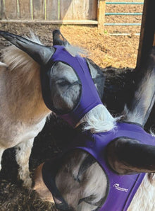 Canadian Horsewear 🍁Donkey/Mule Lycra Fly Mask