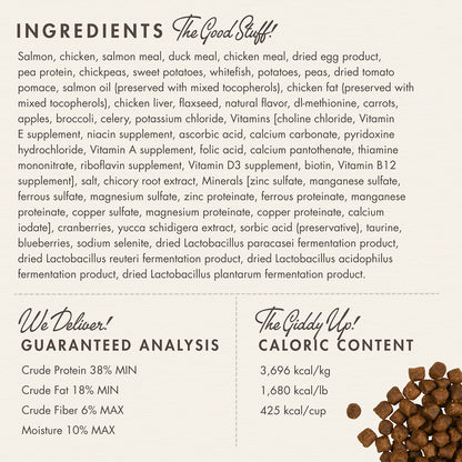 Fromm® Four Star Nutritionals® Surf & Turf Recipe Dry Cat Food