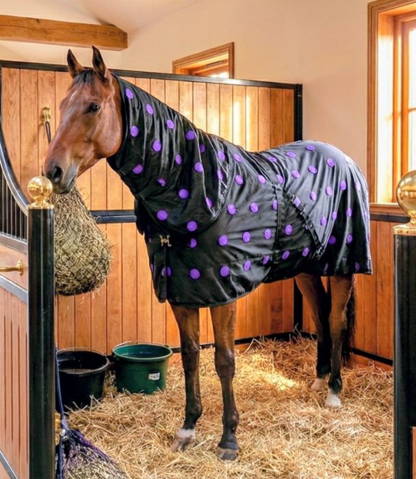 Canadian Horsewear Magnetic Sheet with Hood 66" to 87"
