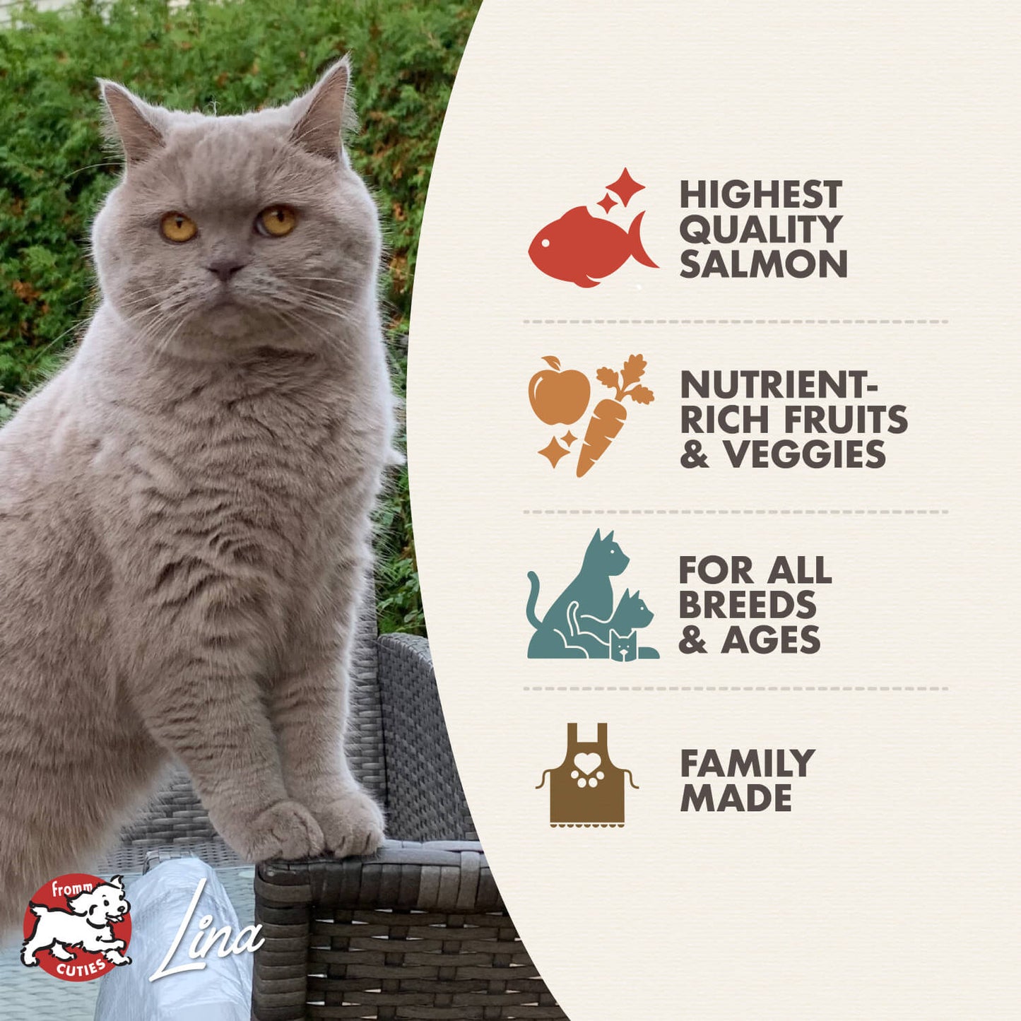 Fromm Salmon Tunachovy Grain Free Cat