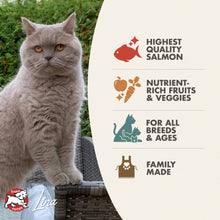 Fromm Salmon Tunachovy Grain Free Cat