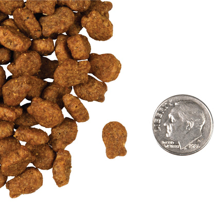 Fromm Salmon Tunachovy Grain Free Cat