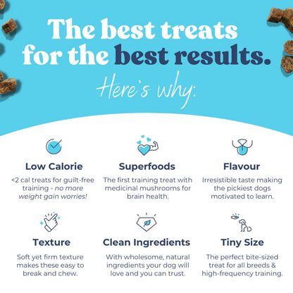 healthybud Chicken Training Treats with superfoods 6.5oz