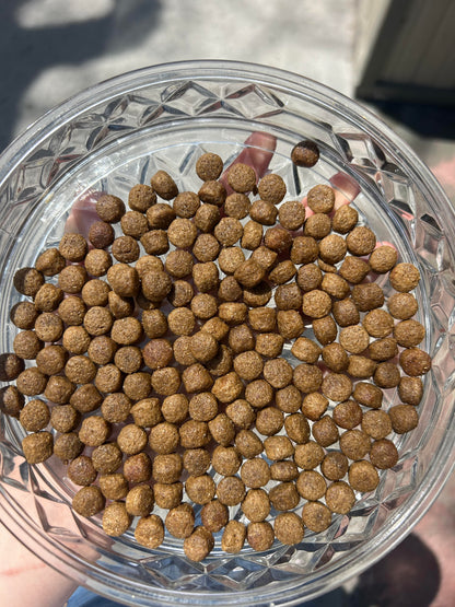 Boreal Healthy Grains Freshwater Trout Dog Food