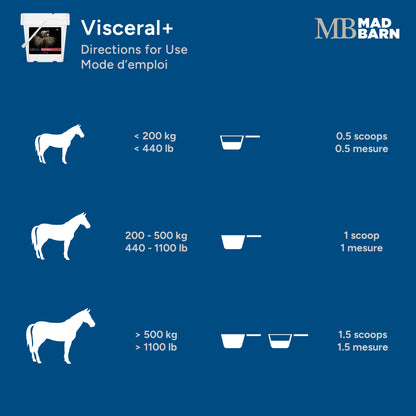 MadBarn🍁 Visceral +