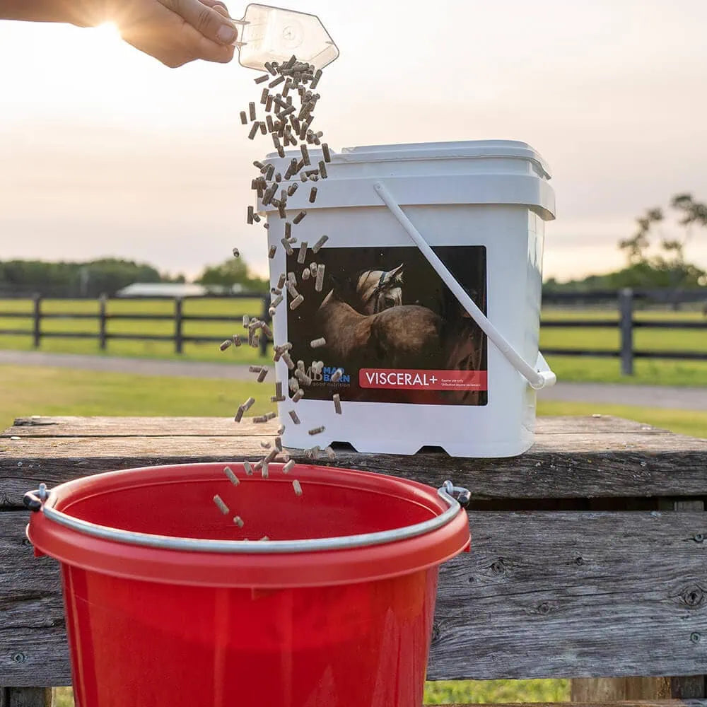 MadBarn🍁 Visceral +