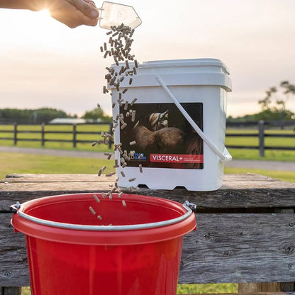 MadBarn🍁 Visceral +