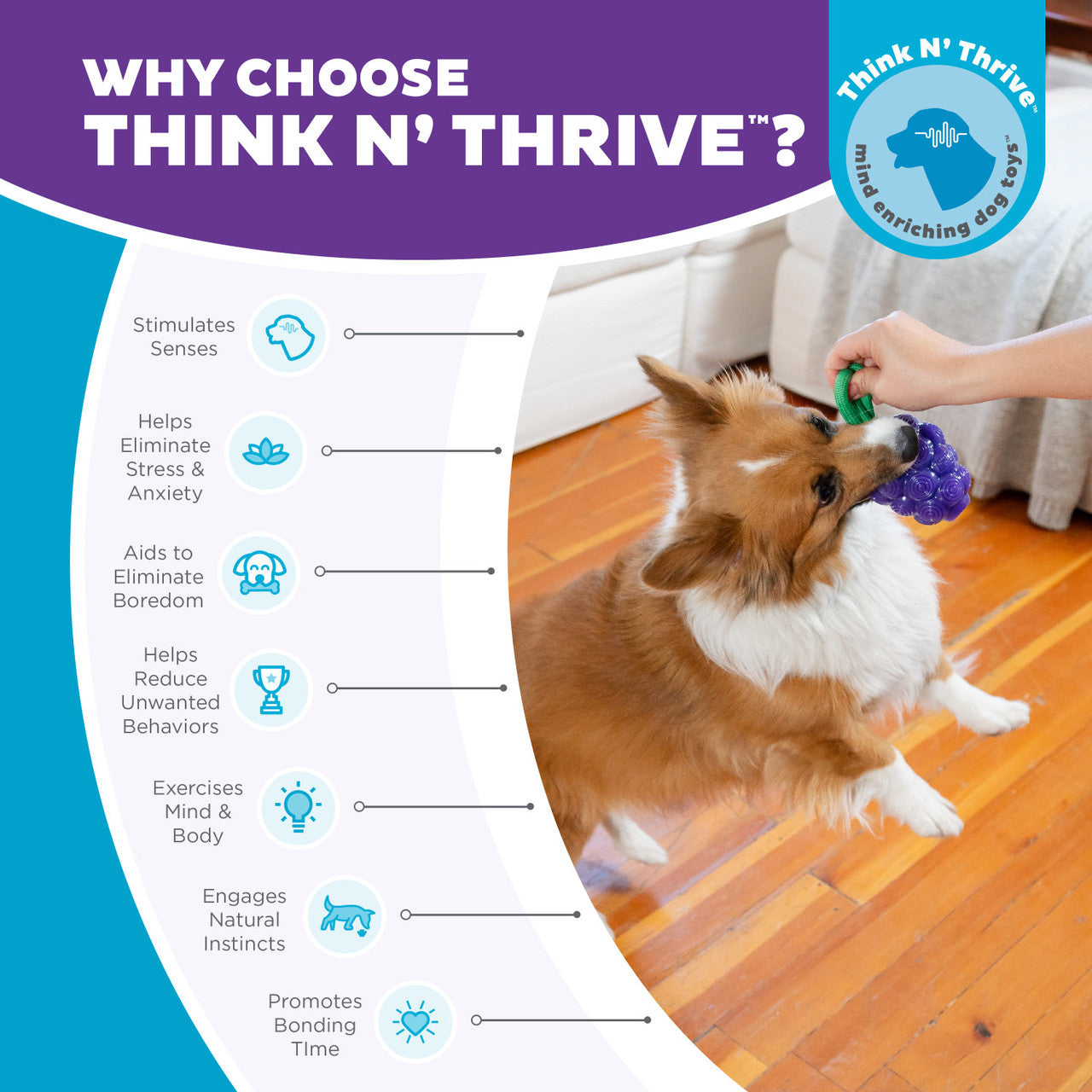 Outward Hound Grape Treat Dispenser