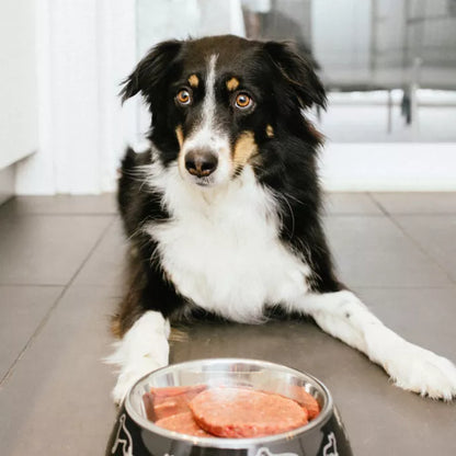 Faim Museau 🍁Simply Turkey for Dogs & Cats