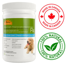 WellyTails 🍁Puppy Smart Start Supplement 454g