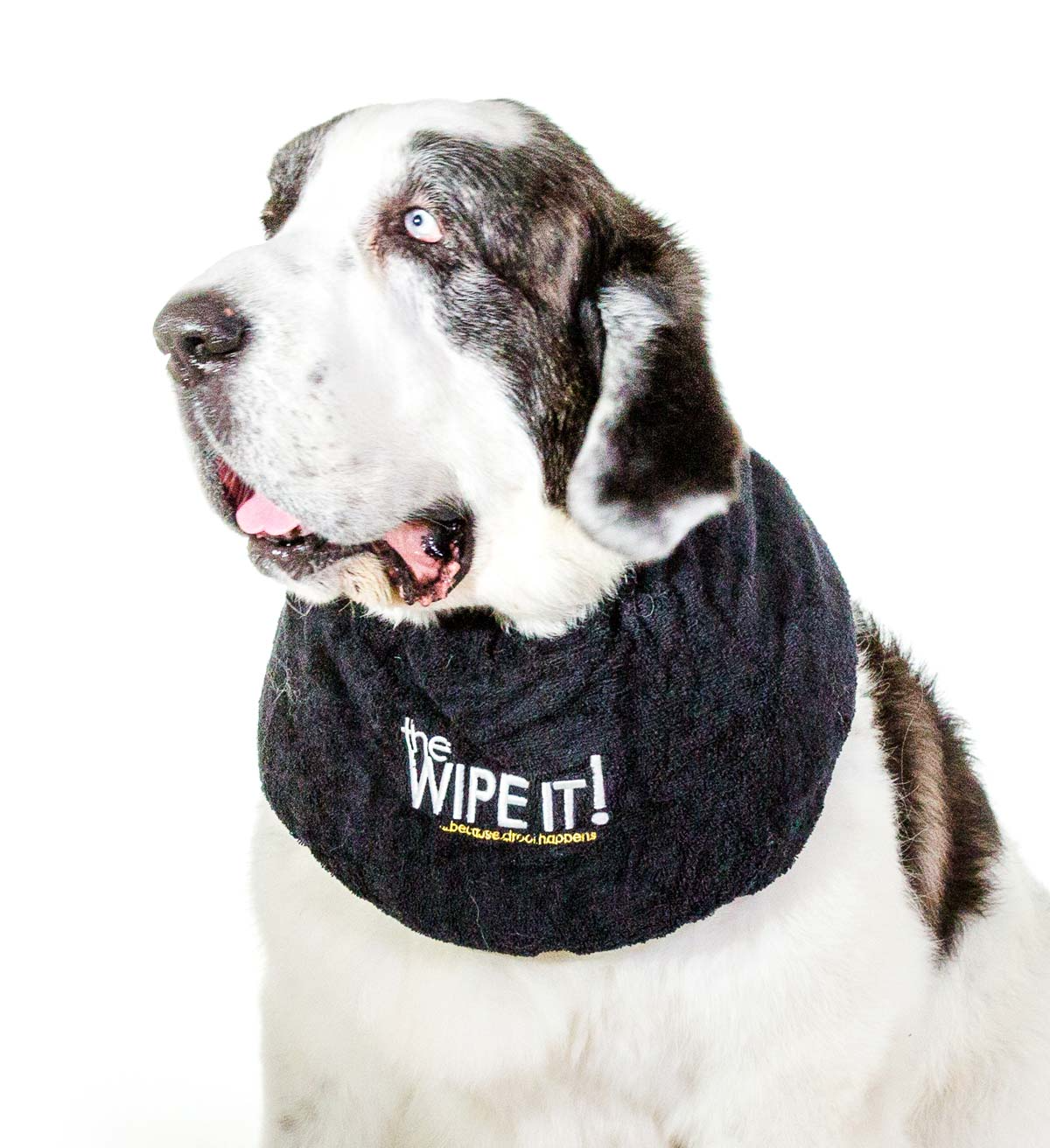 The Wipe It Drool Catcher